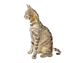 Athens Cat Watercolor Print – Greek Animal Art, Limited Edition Giclée by SeyranSketches