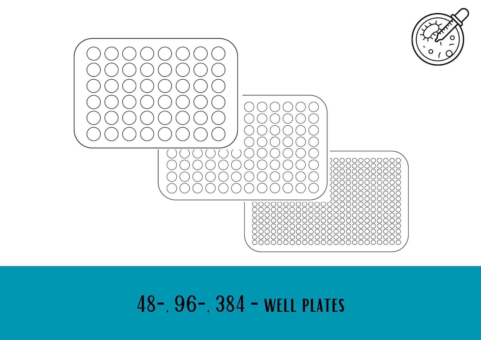Well Plate Templates, 6, 12, 24, 48, 96, 384 Microtiter Plate