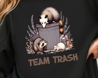 Pull raton laveur opossum, pull poubelle de l'équipe, opossum, pull opossum, pull drôle goblincore, délavé surdimensionné, pull goblincore