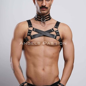 Leather Bulldog Harness Set, Cuffs, Leash, Perfect for Kinky Events
