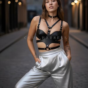 May include: Black leather harness with silver metal rings and a matching choker. The text "COOL HARNESS" is visible. The model is wearing silver metallic pants.