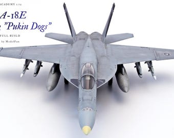 1:72 scale model of the  F/A-18E VF-143 "Pukin Dogs"