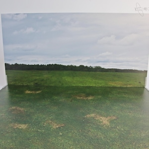 Könnte beinhalten: Ein bedruckter Hintergrund mit einem grünen Feld, einer Baumreihe und einem bewölkten Himmel. Der Hintergrund soll eine realistische Außenszene für Produktfotografie oder Präsentationszwecke schaffen.