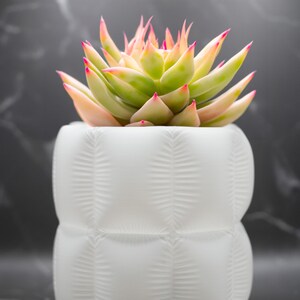 Inflated Cloth Puffy 3D Planter, Round Illusion Planter, Gift for Plant Lovers and Home Decor