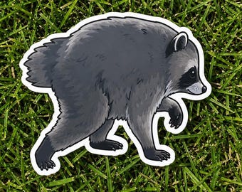Pegatina de mapache Jimothy de Seattle, calcomanía de vinilo resistente de 7,6 cm, linda pegatina de animal del noroeste del Pacífico, regalo de Seattle, decoración para laptop y botella de agua