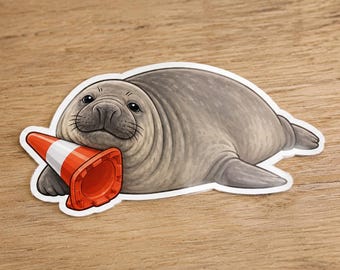 Neil the Seal Vinyl Sticker, Australian Cute Animal Decal, Premium High Quality Laptop Sticker, 3 Inch