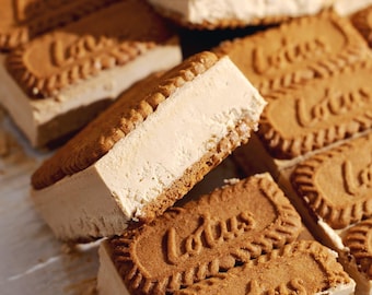 BEST RECIPE For The Most Amazing Biscoff Ice Cream Sandwiches Download.