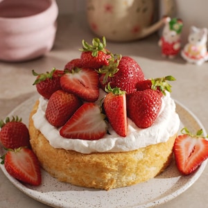 BEST RECIPE For The Most Amazing Mini Strawberry Cream Cake Download.