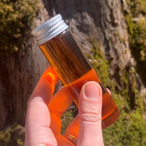 May include: A clear glass vial with a silver cap, filled with a golden-brown liquid. The vial is held in a hand, with a natural, mossy background. The liquid appears to be illuminated by sunlight.