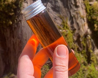 The Backpacker - Grade A Amber - 100% Pure Maine Maple Syrup