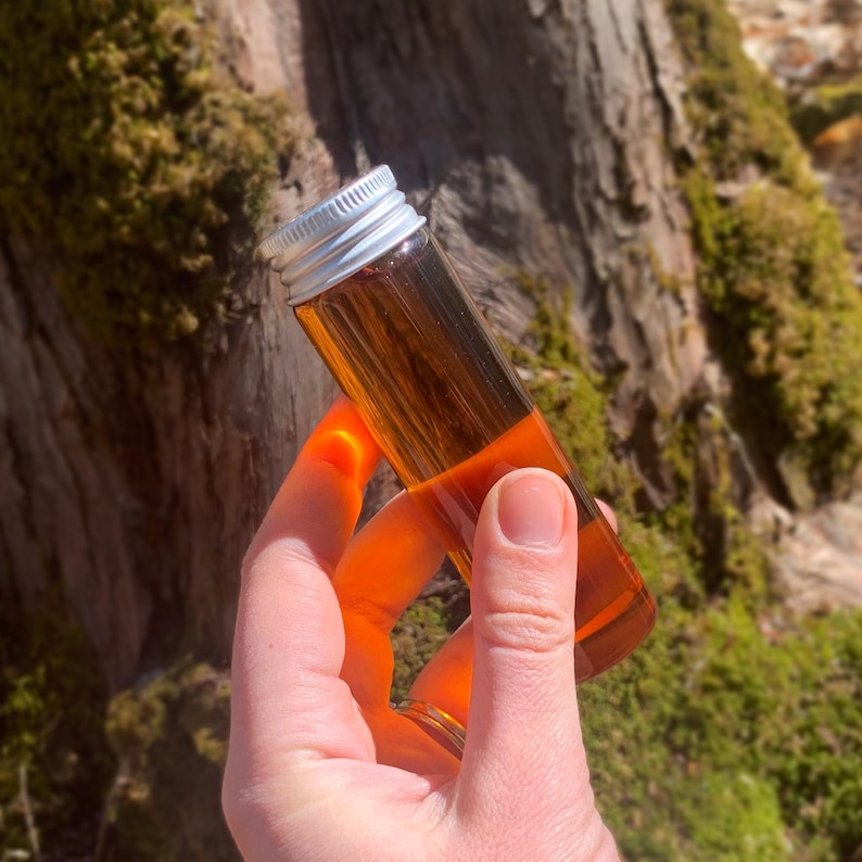 May include: A clear glass vial with a silver cap, filled with a golden-brown liquid. The vial is held in a hand, with a natural, mossy background. The liquid appears to be illuminated by sunlight.