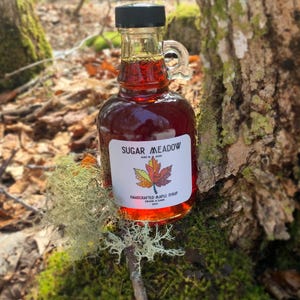 Baby Bootlegger - Grade A Dark - 100% Pure Maine Maple Syrup - 250 ML (8.4oz) Glass Bottle