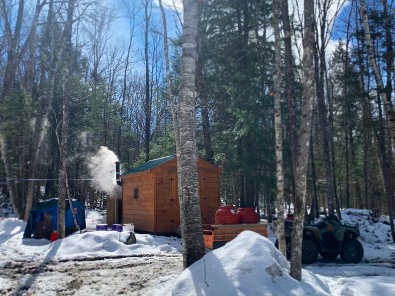 May include: A wooden sugar shack with a green roof and a chimney emitting steam, set in a snowy forest. Red containers sit on a wooden pallet, and a four-wheeler is parked nearby. A blue tent is also visible.