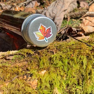 May include: A small glass jar with a silver lid featuring a colorful leaf sticker. The jar is lying on a moss-covered log in a natural outdoor setting. The jar appears to contain a liquid.