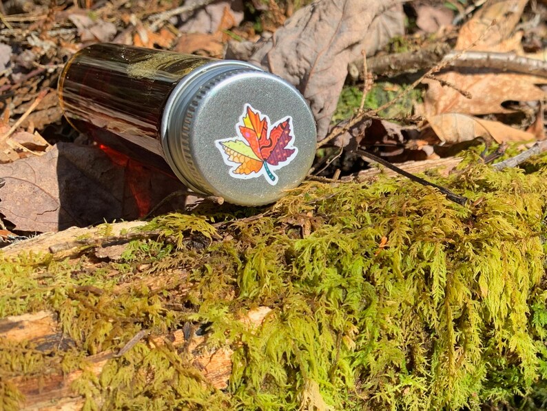May include: A small glass jar with a silver lid featuring a colorful leaf sticker. The jar is lying on a moss-covered log in a natural outdoor setting. The jar appears to contain a liquid.