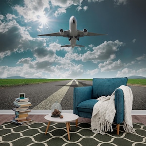 3D airplane wall mural Aviation wall art for living room Peel and stick mural Colorful wallpaper Modern fluid art Seamless pattern