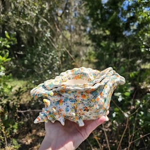 Med. Seashell Self Watering Violet Planter (Fruity Freckles) African Violet Planter, Conch Shell, Violet Pot, Handmade, Pottery