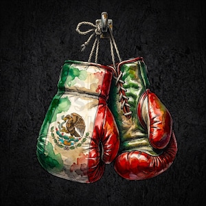 Può includere: Un paio di guantoni da boxe appesi a un gancio metallico tramite i lacci. Il guantone sinistro presenta i colori verde, bianco e rosso della bandiera messicana con l'emblema centrale dell'aquila. Il guantone destro ha una finitura ad acquerello.