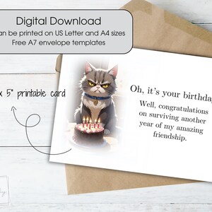 Carte d'anniversaire impertinente pour ami - Humour de chat grincheux 20 x 20 cm, cartes de voeux originales, modèle d'enveloppe A7 gratuit