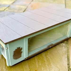 Hedgehog Feeding Station / XL Platinum Feeding Station / Cat & Rat Deterrent Feeding Station