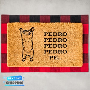 Funny Raccoon Doormat, Dancing Raccoon Doormat, Front Door Mat, Funny Decor, Funny Gift, Housewarming Gift, Coir Door Mat, Welcome Doormat