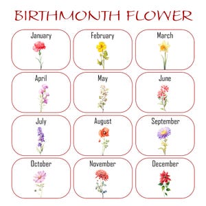 May include: A chart showing the birth month flower for each month of the year.  January is the carnation, February is the violet, March is the daffodil, April is the sweet pea, May is the lily of the valley, June is the rose, July is the larkspur, August is the gladiolus, September is the aster, October is the calendula, November is the chrysanthemum, and December is the poinsettia.