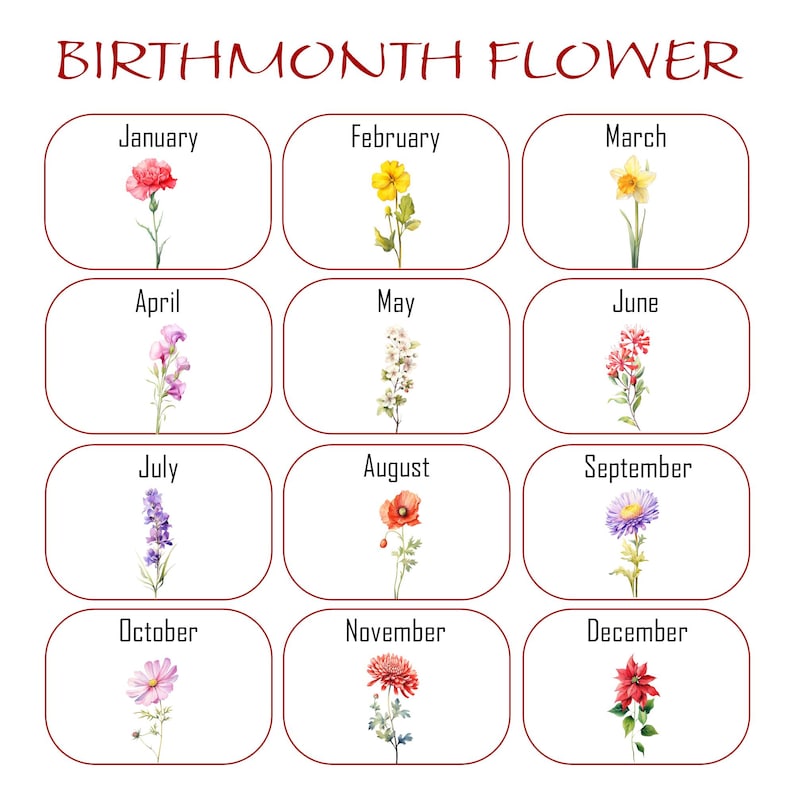 May include: A chart showing the birth month flower for each month of the year.  January is the carnation, February is the violet, March is the daffodil, April is the sweet pea, May is the lily of the valley, June is the rose, July is the larkspur, August is the gladiolus, September is the aster, October is the calendula, November is the chrysanthemum, and December is the poinsettia.