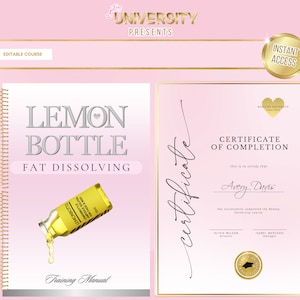 Lemonbottle Fat Dissolve Training Manual, Fat Dissolve Injections Guide, Injectable Mesotherapy Course, Pink, Silver, Edit in Canva
