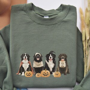 May include: Green sweatshirt with a graphic of four black dogs dressed in Halloween costumes. The dogs are holding pumpkins and one dog is carrying a bag that says "Trick or Treat".
