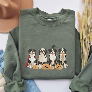 May include: Green sweatshirt with a graphic of four Bernese Mountain Dogs dressed up for Halloween. The dogs are wearing costumes, including a ghost, a witch, a vampire, and a trick-or-treater. The graphic also includes pumpkins.