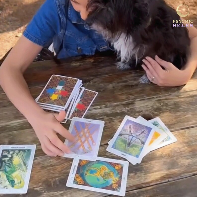May include: A person is reading tarot cards on a wooden table. The cards are spread out in front of them, and they are holding one card in their hand. There is a small black and white dog sitting on the table next to them.