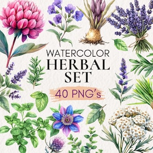 Könnte beinhalten: Aquarell-Illustration verschiedener Kräuter und Blumen, darunter Lavendel und Rosmarin. Das Bild zeigt eine Vielzahl botanischer Elemente mit dem Text "Watercolor Herbal Set" und "40 PNG's". Die Farbpalette umfasst Lila-, Grün- und Rosatöne.