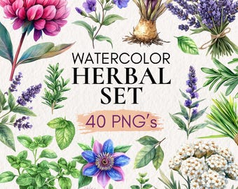 Watercolor Herbal Clipart Collection | 40 Garden Herbs PNG (Digital Download)