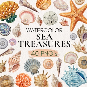 Watercolor Sea Shells, Coastal Clipart, Beach Shell PNG, Ocean Clipart, Summer Decor, Seashell Illustrations, Digital Download, Nautical Art