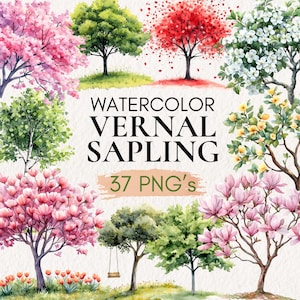 Könnte beinhalten: Aquarellillustrationen verschiedener Bäume in voller Blüte, die lebendige Farben wie Rosa, Rot, Grün und Weiß zeigen. Das Bild enthält den Text "Watercolor Vernal Sapling" und "37 PNG's". Die Bäume sind im Aquarellstil dargestellt.