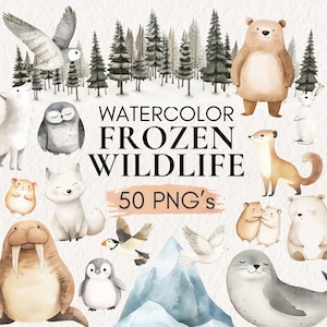 Clipart aquarelle animaux de l'Arctique, ours polaire, renard, hibou, loup, phoque, pingouin PNG, illustrations de la faune hivernale, clipart faune polaire