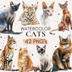 Watercolor Cats Clipart, Cat Clip Art, Cat Birthday Party Decor, Cat Baby Shower Set,  Animals Clipart, Watercolor Cats, Cat PNG