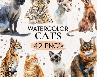 Watercolor Cats Clipart, 42 PNG Cat Illustrations (Digital Download)