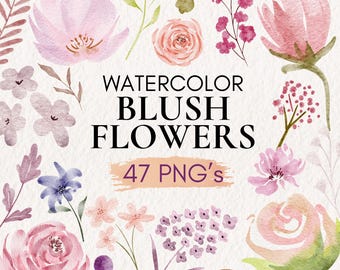 Watercolor Blush Flower Clipart, Pink Roses, Greenery (PNG)