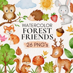 Clipart forêt aquarelle, animaux de la forêt, aquarelle animaux de la forêt PNG, bébés animaux forêt, clipart forêt, baby shower des bois