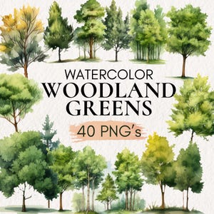 Aquarel bos verhaal clipart, bosrijke boom illustraties, dennenboom clipart, bos landschapskunst, bosrijke scène png, groenblijvende bomen