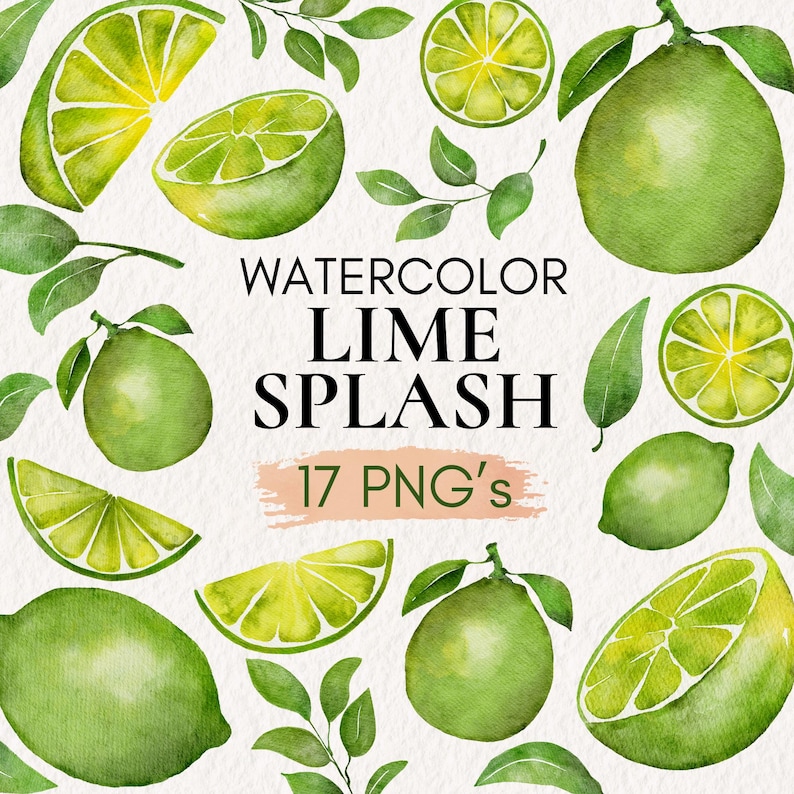 Watercolor Lime Clipart Bundle, Tropical Citrus PNG (digital Download ...