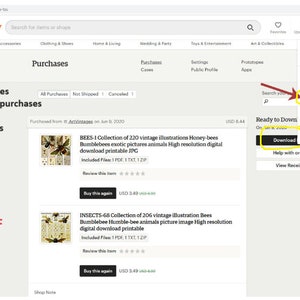 May include: A screenshot of an Etsy purchase page showing a digital download of vintage illustrations of bees and bumblebees. The download includes 1 PDF, 1 TXT, and 1 ZIP file. The text on the page reads "BEES-1 Collection of 220 vintage illustrations Honey-bees Bumblebees exotic pictures animals High resolution digital download printable JPG Included Files: 1 PDF 1 TXT 1 ZIP"