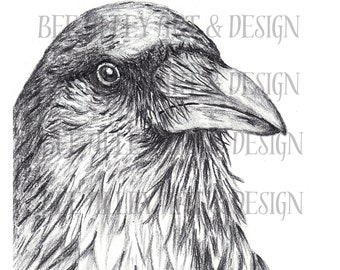 Black bird art, crow portrait, black and white animal art, original charcoal art piece, digital print, instant download