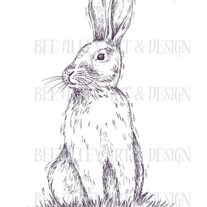 Bunny illustration, pen & ink artwork, black and white animal art, original art piece, rabbit, digital print, instant download