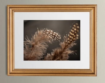 May include: A framed art print featuring two brown and white speckled feathers. The feathers are in soft focus against a dark background, with a gold-colored frame. The artwork is a close-up of the feathers.