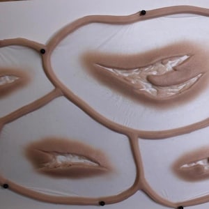 Puede incluir: Colección de heridas protésicas, con varios tamaños y formas. Cada herida está pintada con tonos marrones y beige, con una textura realista. Las prótesis están adheridas a un respaldo transparente y aseguradas con pequeños alfileres negros.