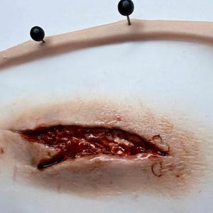 May include: A detailed open wound prosthetic with exposed red tissue and blood. The prosthetic is surrounded by pale skin and secured with black-headed pins, creating a gruesome effect. Suitable for Halloween or special effects.