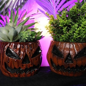 May include: Two Halloween-themed planters shaped like jack-o'-lanterns. The planters are brown with black facial features and filled with green plants. The background has purple lighting and foliage.