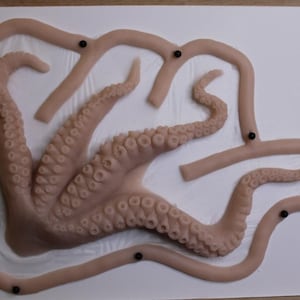 May include: A light beige silicone mould featuring a detailed octopus with multiple tentacles and suckers, surrounded by a raised border with small black circular markers embedded at intervals along the perimeter on a white rectangular base.